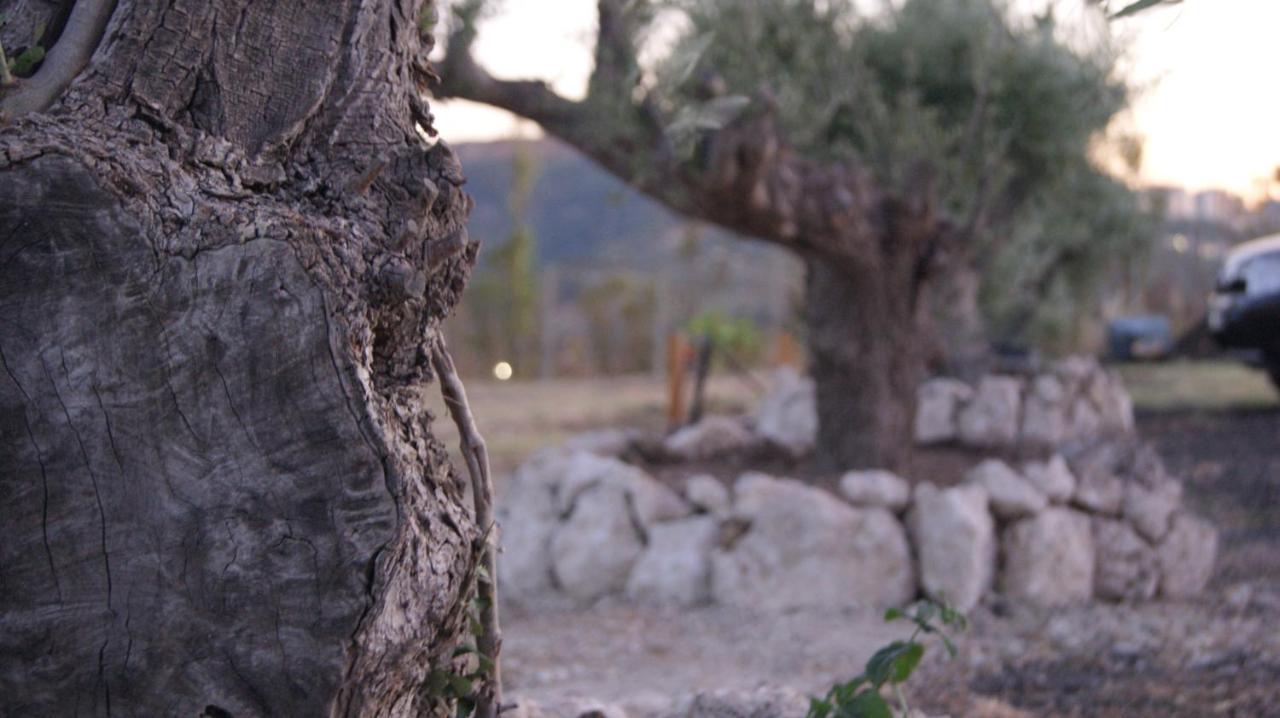 B&B Eyexei Domus Agrigento Eksteriør billede