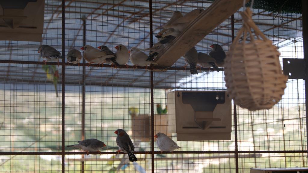 B&B Eyexei Domus Agrigento Eksteriør billede